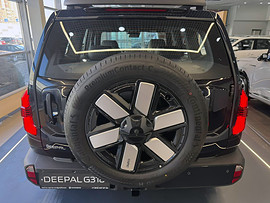 DEEPAL G318: вид сзади