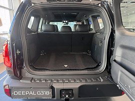 DEEPAL G318: багажник