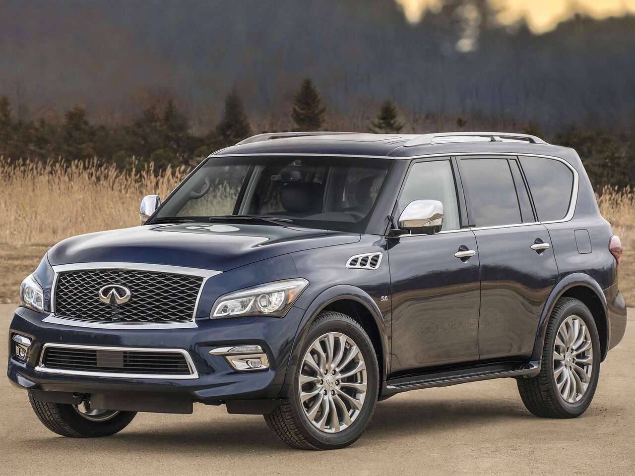 Infiniti QX80 5.6 AT Base: вид спереди сбоку