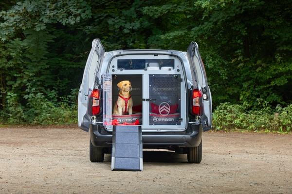 Citroën сделала Berlingo для собак: грузовой отсек